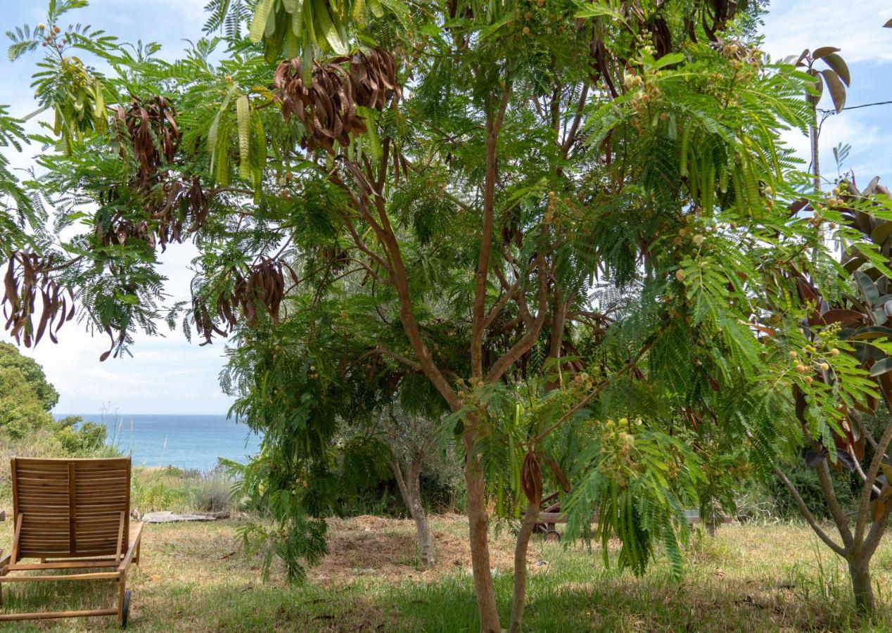 Kalamies - Secluded Beach Apartments Skala  Екстер'єр фото
